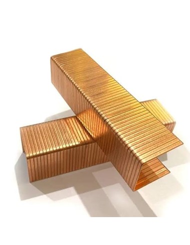 Agrafes carton type 590